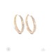 Glitzy By Association - Gold Glitzy By Association - Gold