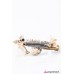 Fly High White Bracelet Fly High White Bracelet