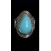 Saguaro Scene Blue Ring Saguaro Scene Blue Ring